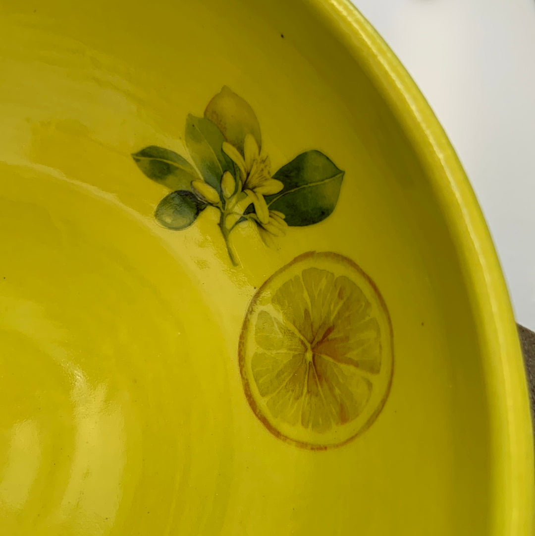 Lemon Bowl Set