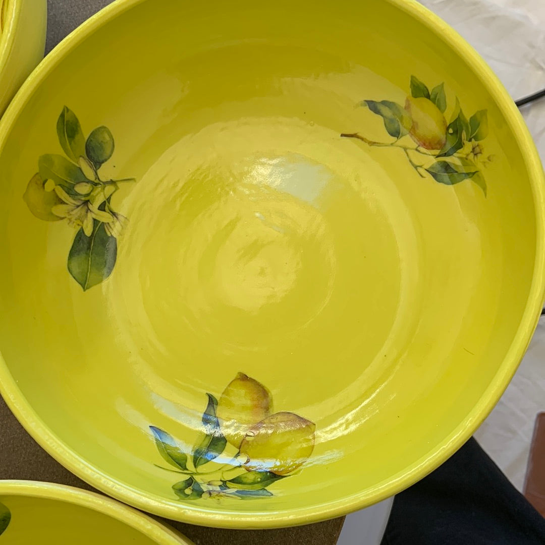 Lemon Bowl Set